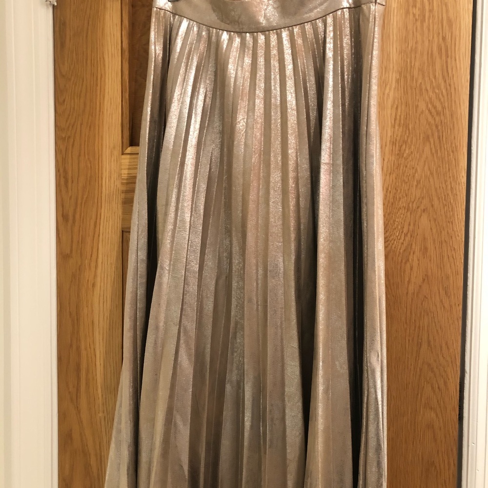 Zara Women metallic pleated skirt